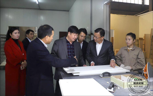 “聚焦環(huán)保家居 構(gòu)建健康生活”研討會在易高定制家居順利舉行！